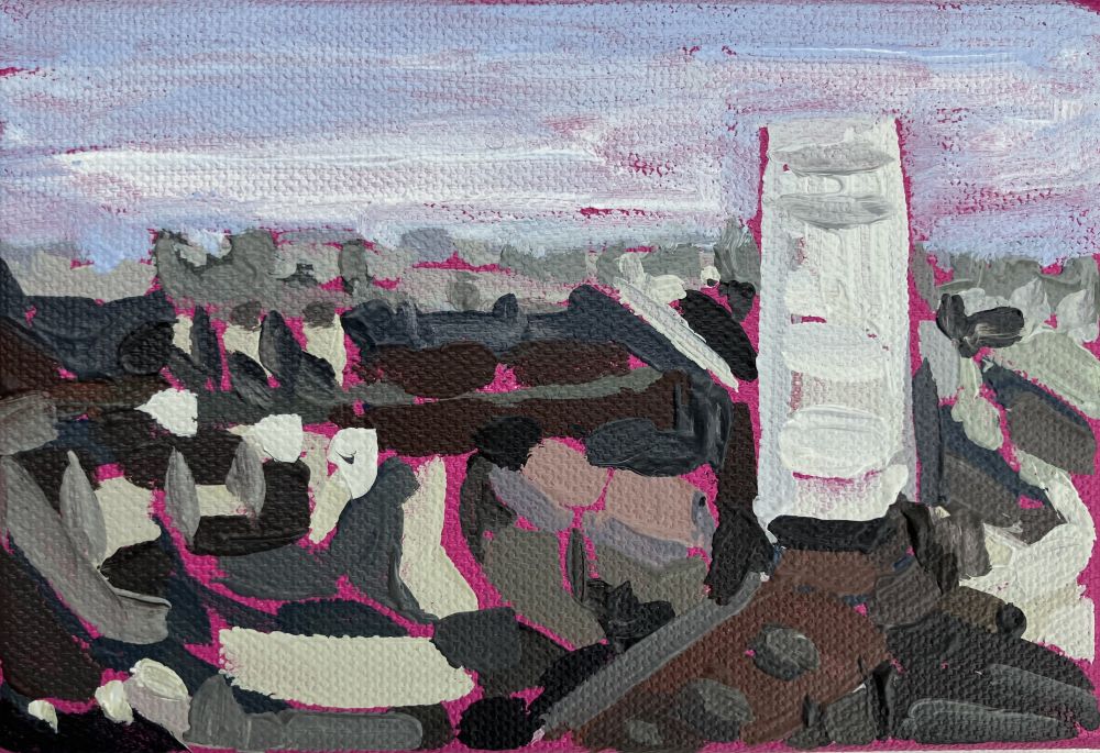 Dinky view from Battersea Power Station 2 2025